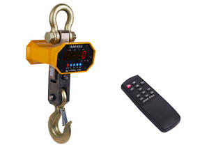 LP7650型直視式電子吊秤